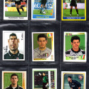 Toldo 4